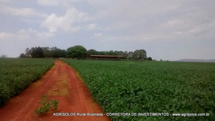 #74 - Fazenda para Venda em Rondonópolis - MT