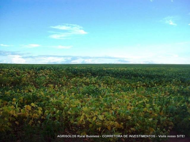 #79 - Fazenda para Venda em Uruaçu - GO
