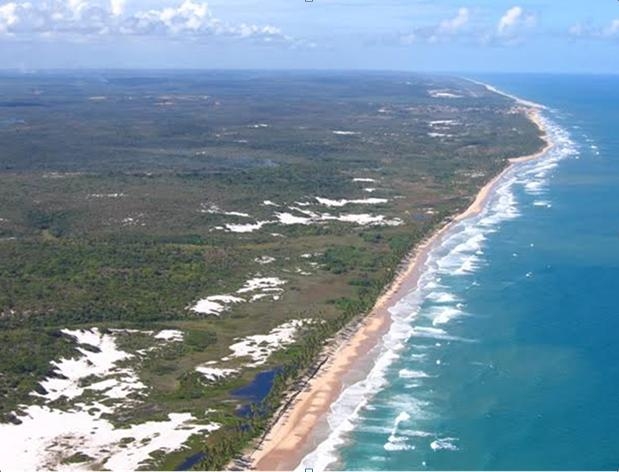 #81 - Fazenda para Venda em Subaúma - BA