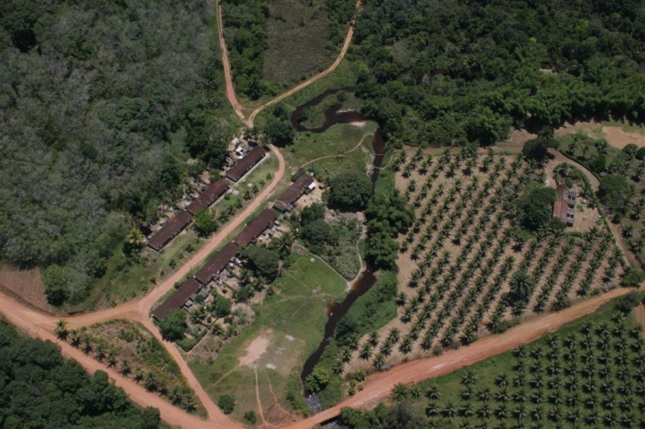 Terreno, 4389 m² - Foto 13