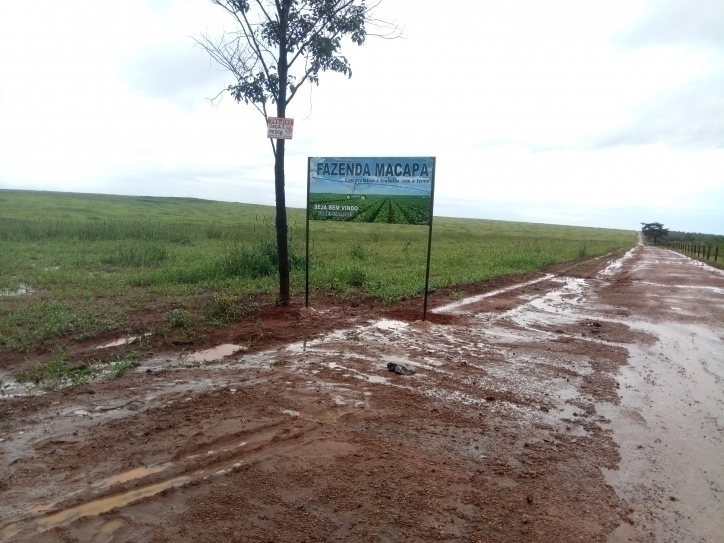 #91 - Fazenda para Venda em Balsas - MA