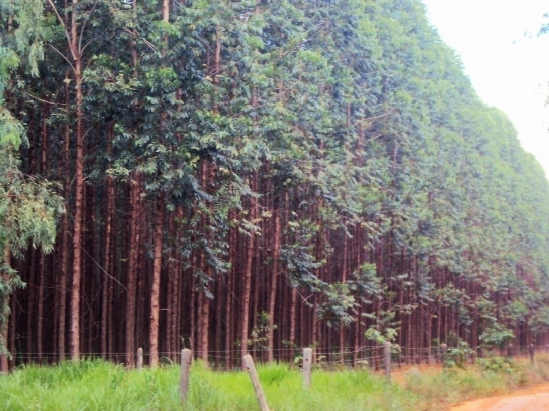 #94 - Fazenda para Venda em Belo Horizonte - MG