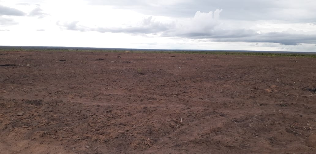 #98 - Industria, Comercio e Agro para Venda em São Domingos do Azeitão - MA