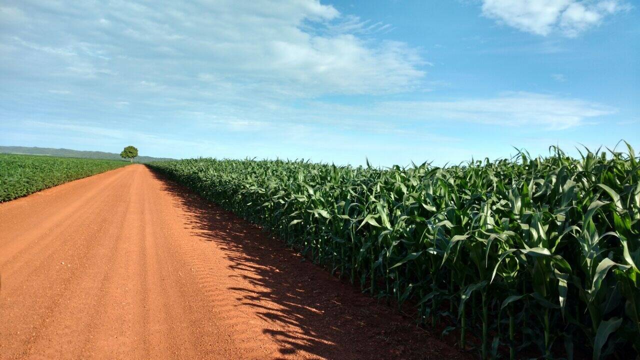 #104 - Fazenda para Venda em Balsas - MA