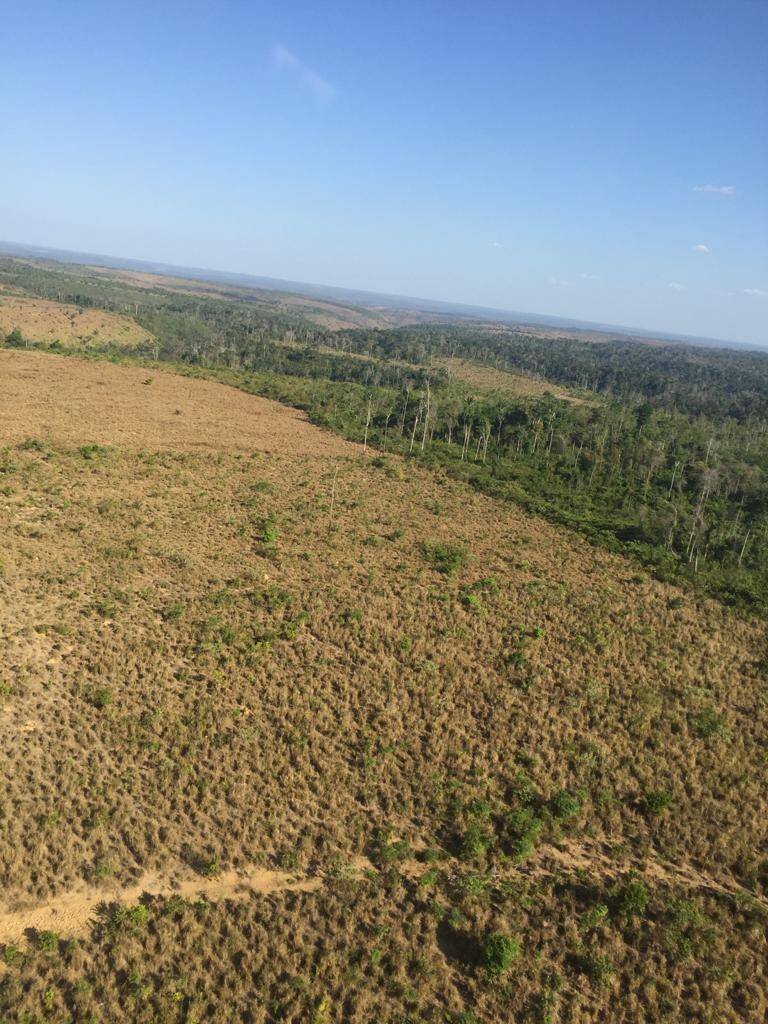 #106 - Fazenda para Venda em Buriticupu - MA