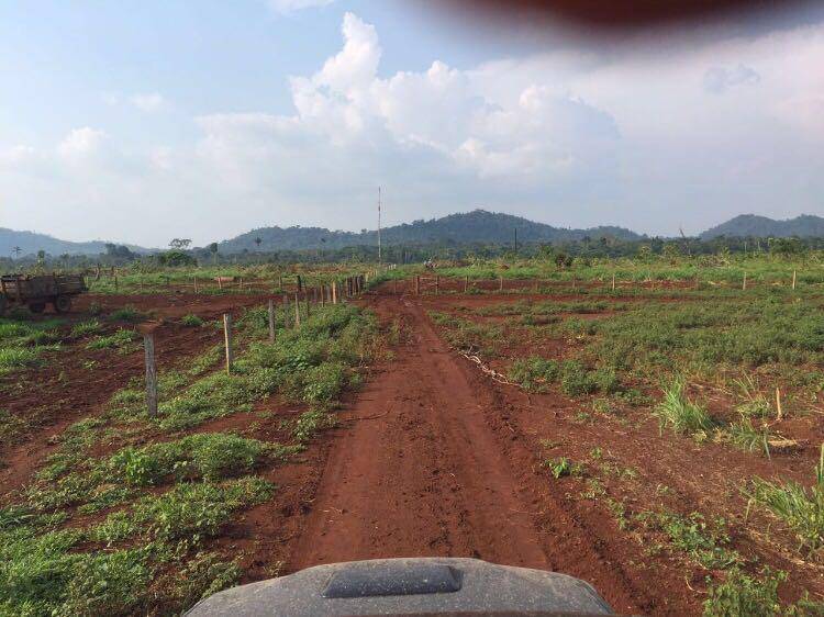 #118 - Fazenda para Venda em São Félix do Xingu - PA