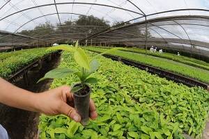 #120 - Fazenda para Venda em Belo Horizonte - MG