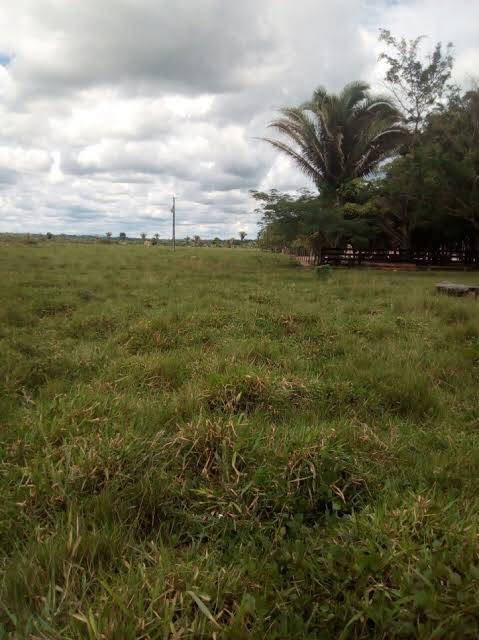 #128 - Fazenda para Venda em Ribas do Rio Pardo - MS