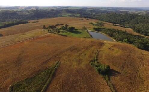 #134 - Fazenda para Venda em Curitiba - PR