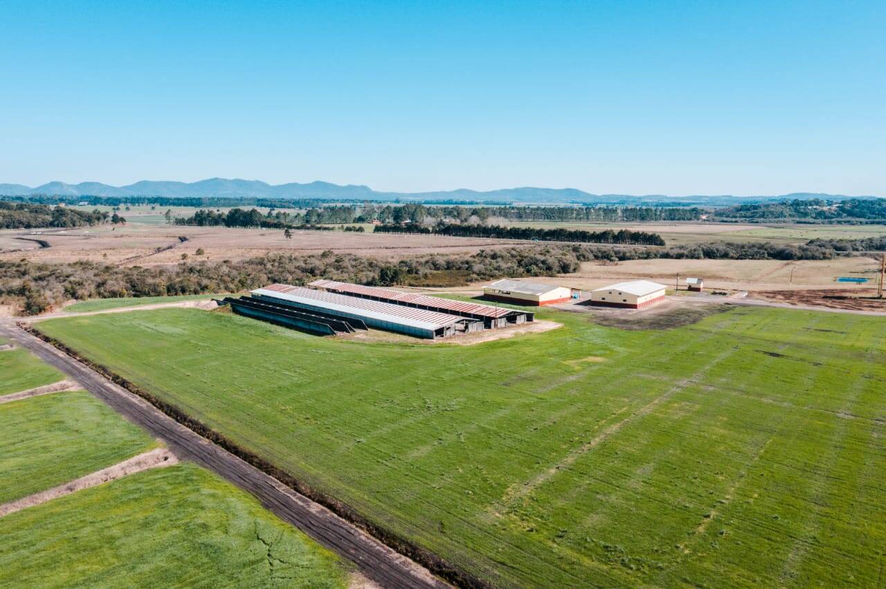 #135 - Fazenda para Venda em Tijucas do Sul - PR