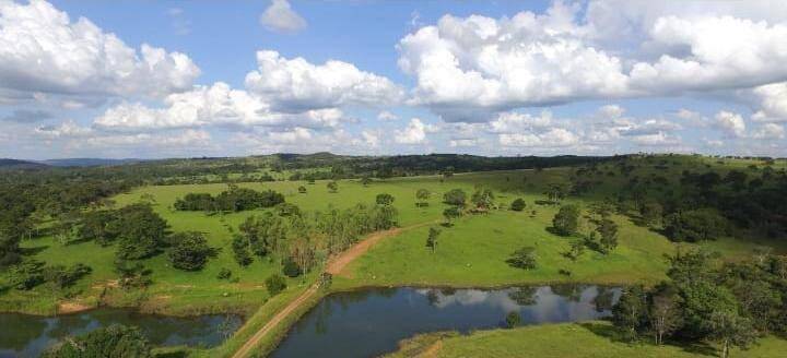 #136 - Fazenda para Venda em Goiânia - GO