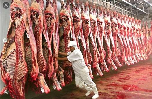 #139 - Fazenda para Venda em São Paulo - SP