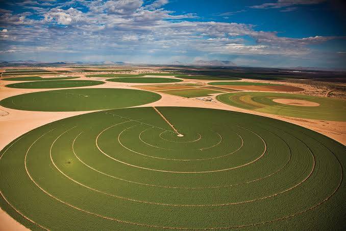 #143 - Fazenda para Venda em Barreiras do Piauí - PI