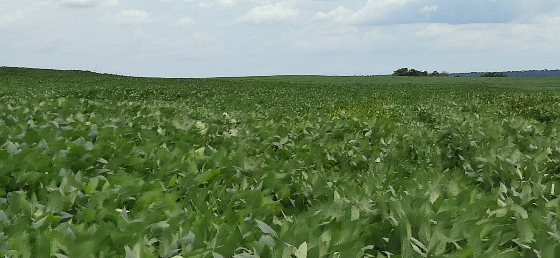 #144 - Fazenda para Venda em Balsas - MA