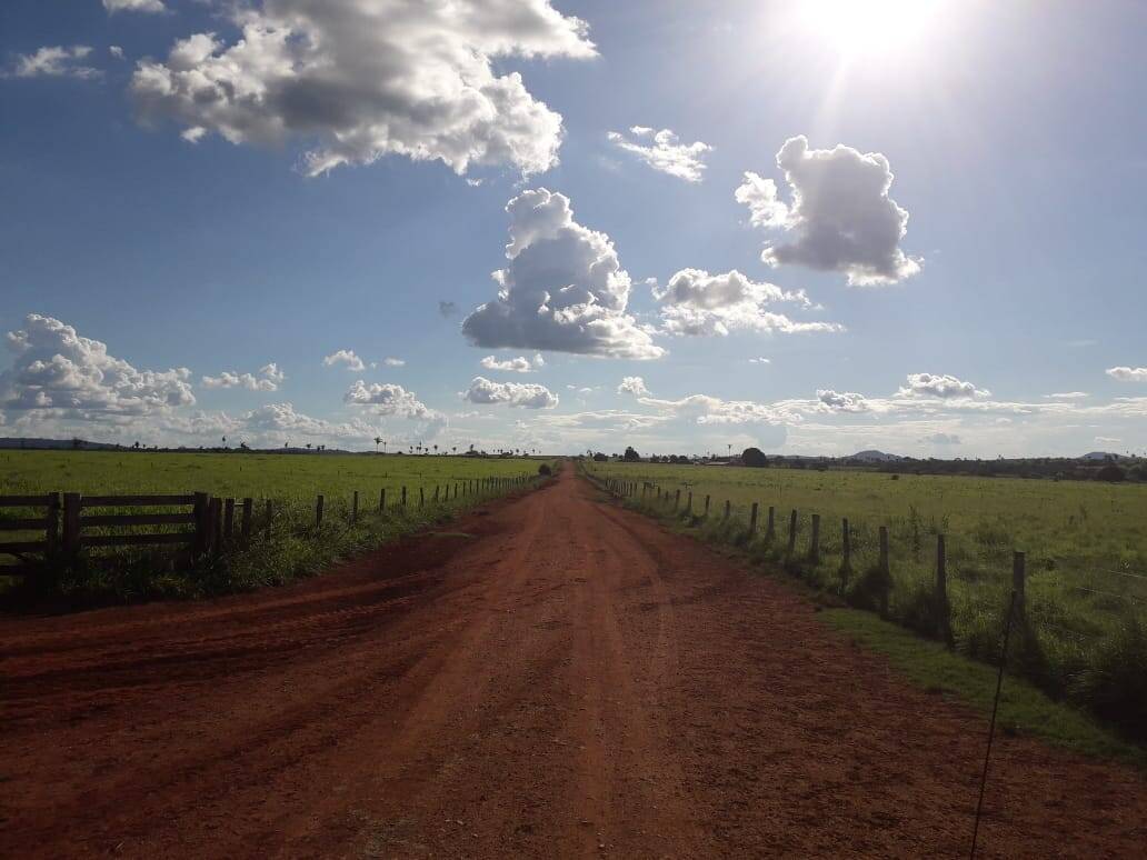 #147 - Fazenda para Venda em Cumaru do Norte - PA
