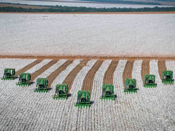 #158 - Fazenda para Venda em Formosa do Rio Preto - BA