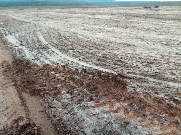#164 - Fazenda para Venda em Balsas - MA
