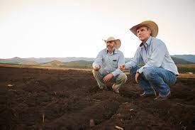 #184 - Fazenda para Venda em Araguaína - TO