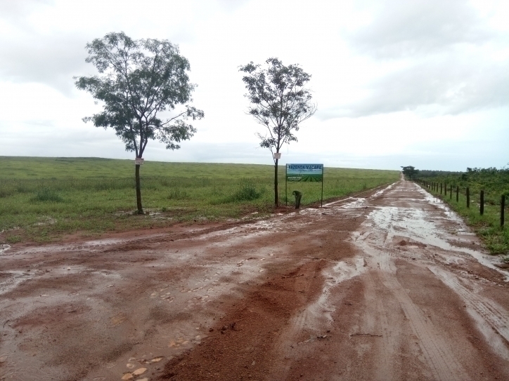 #165 - Fazenda para Venda em Balsas - MA