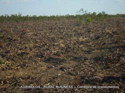 #29 - Chácara para Venda em Balsas - MA