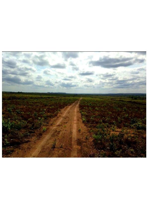 #31 - Fazenda para Venda em Pedro Afonso - TO