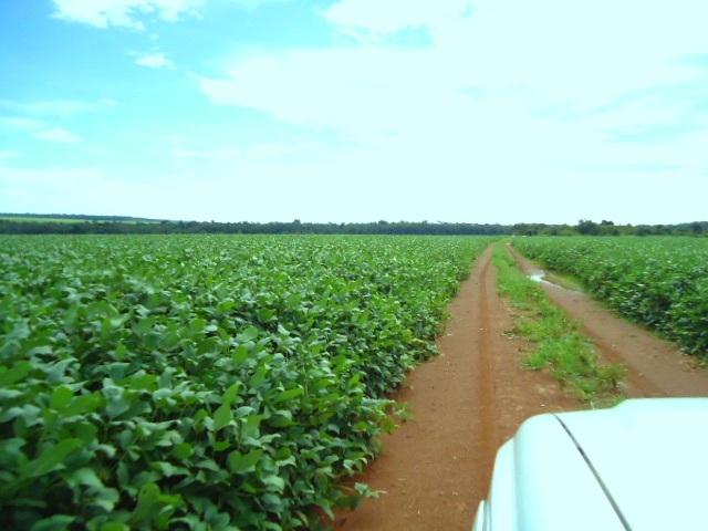 #32 - Fazenda para Venda em Nova Santa Helena - MT