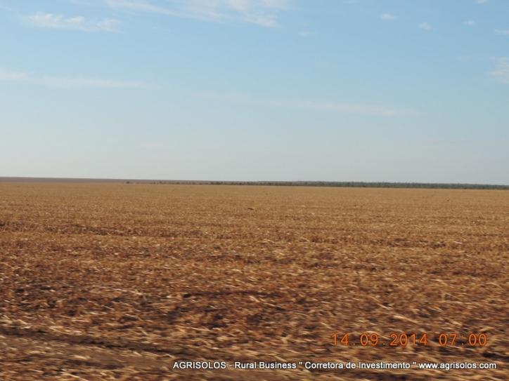 #41 - Fazenda para Venda em Baixa Grande do Ribeiro - PI