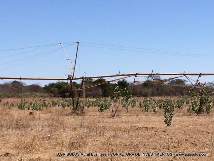 #56 - Fazenda para Venda em Itacarambi - MG