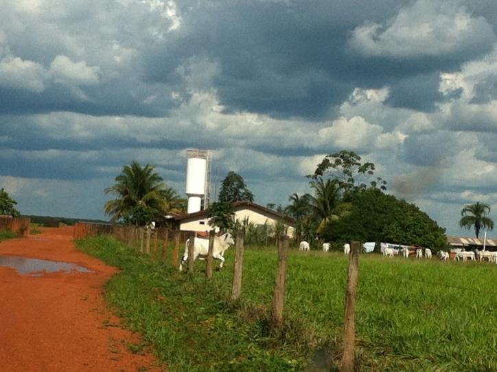 #60 - Fazenda para Venda em Confresa - MT