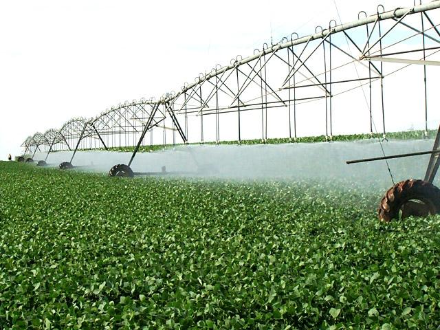 #61 - Fazenda para Venda em Unaí - MG