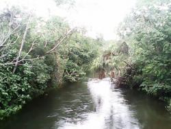 #63 - Fazenda para Venda em São Romão - MG - 2