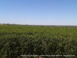 #64 - Fazenda para Venda em Luís Eduardo Magalhães - BA - 2