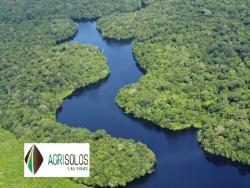 #67 - Fazenda para Venda em Alto Parnaíba - MA - 3