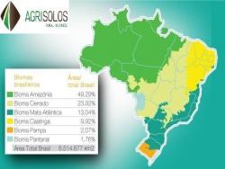 Fazenda para Venda em Alto Parnaíba - 4