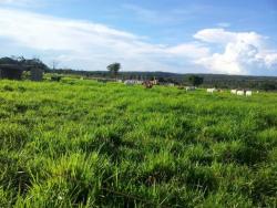 #70 - Fazenda para Venda em Nova Monte Verde - MT - 1