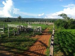 #70 - Fazenda para Venda em Nova Monte Verde - MT - 3