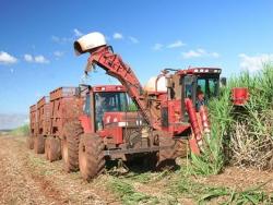 #71 - Industria, Comercio e Agro para Venda em São Paulo - SP