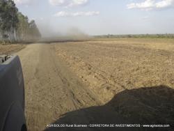 Fazenda para Venda em Baixa Grande do Ribeiro - 5