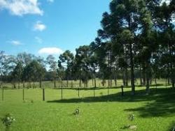 #73 - Fazenda para Venda em Curitiba - PR