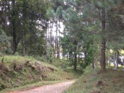 Fazenda para Venda em Curitiba - 4