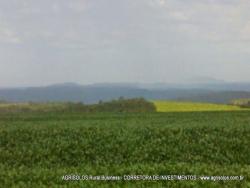 #74 - Fazenda para Venda em Rondonópolis - MT - 3