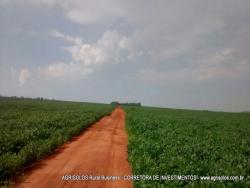 Fazenda para Venda em Rondonópolis - 5