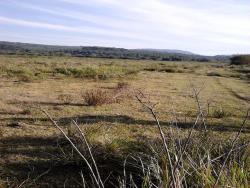 #76 - Fazenda para Locação em Guarapuava - PR - 1