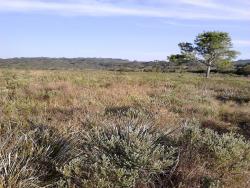 #76 - Fazenda para Locação em Guarapuava - PR - 2