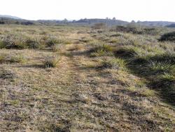 #76 - Fazenda para Locação em Guarapuava - PR - 3