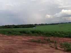 Fazenda para Venda em Indiara - 4