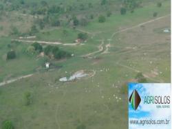 Fazenda para Venda em Cuiabá - 5