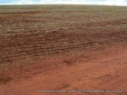 #79 - Fazenda para Venda em Uruaçu - GO - 2