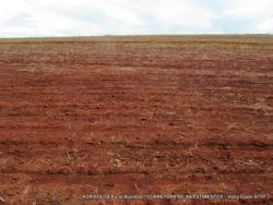 Fazenda para Venda em Uruaçu - 4