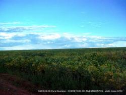 Fazenda para Venda em Uruaçu - 5